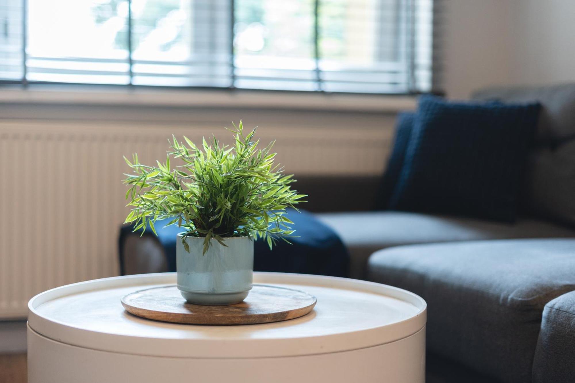 Mw Apartament